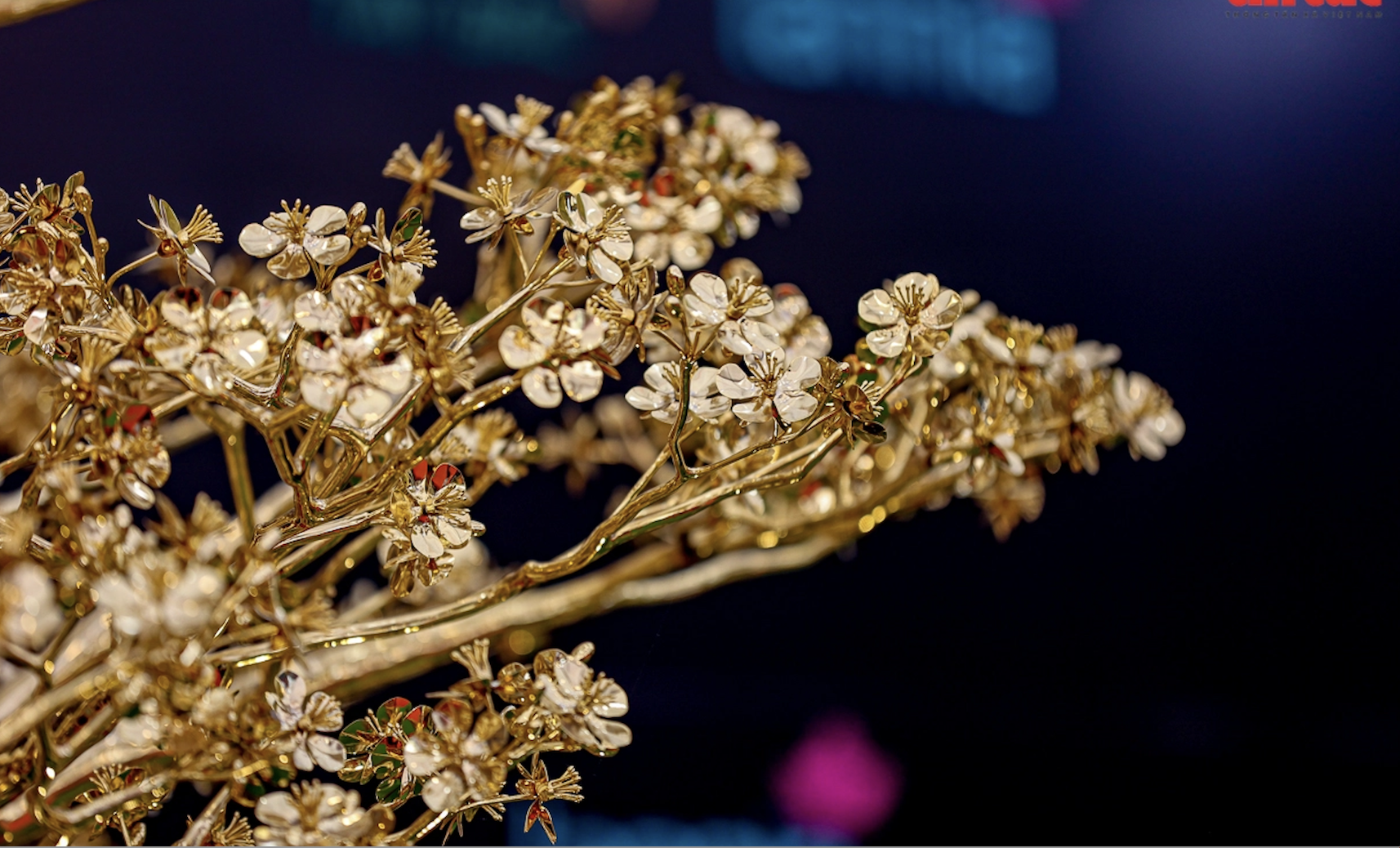 Primer plano de un árbol de flor de durazno bañado en oro de 12 taels, con un valor de 1.300 millones de VND.