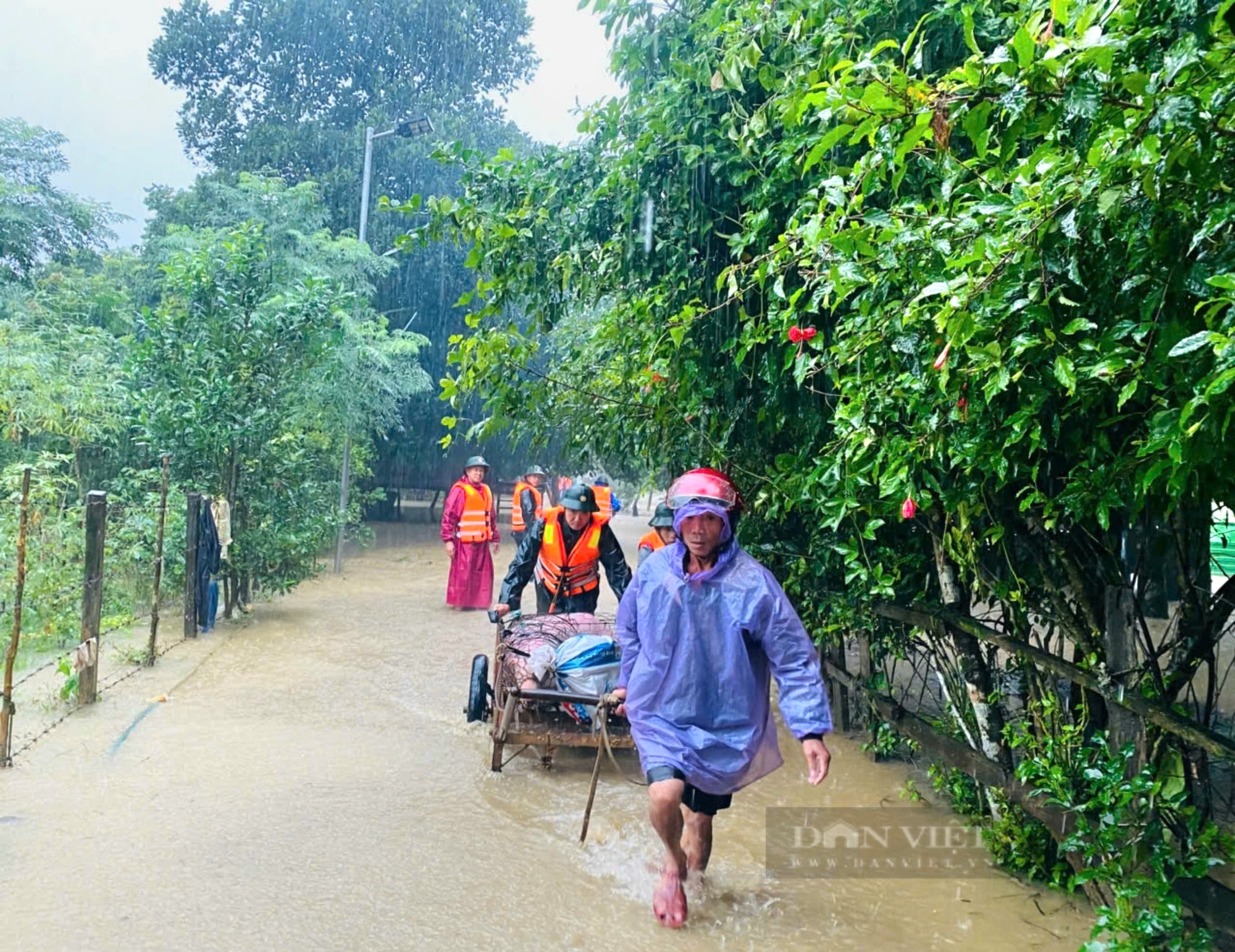 Mưa lớn ở Quảng Bình khiến nước sông lên nhanh, 1 người tham gia cứu hộ bị lũ cuốn- Ảnh 2.