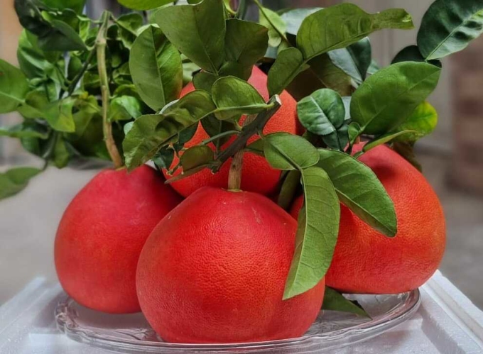 El pomelo rojo se vende mucho en los mercados online. Foto: Thanh Tung