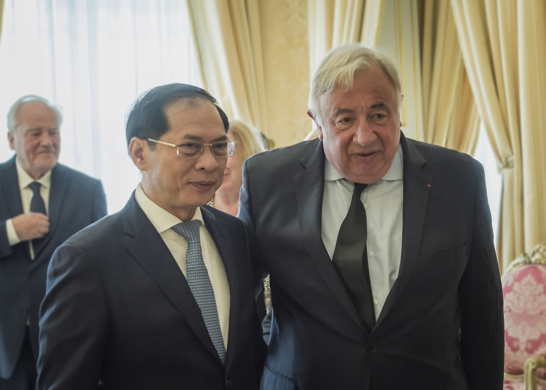 Bringing the Vietnam-France Strategic Partnership into depth and practicality