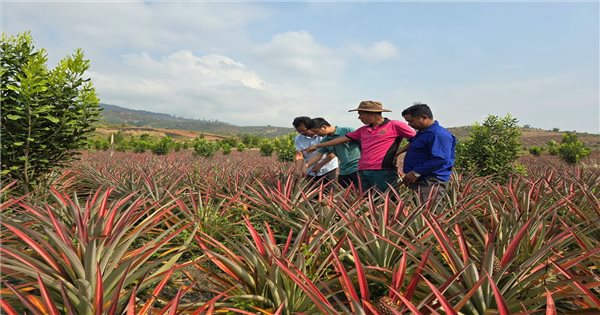 Đăk Tô (Kon Tum): Thực hiện hiệu quả công tác giảm nghèo