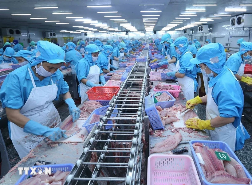 Processing seafood for export. (Photo: Vu Sinh/VNA)