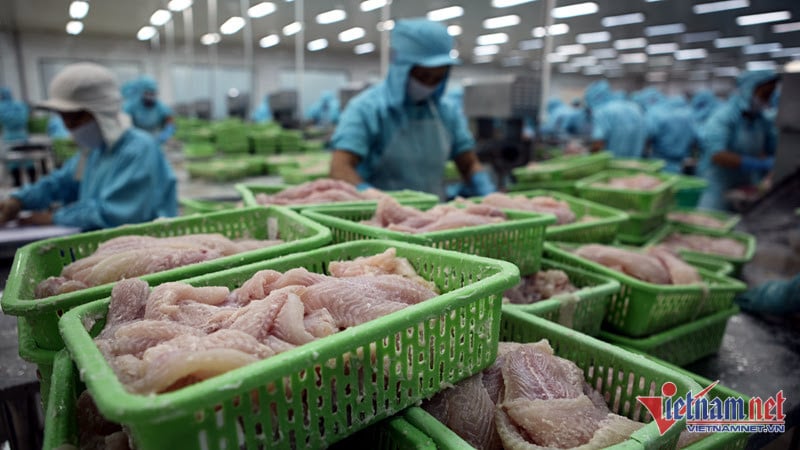 Major markets recover, Vietnamese pangasius prepares for 'golden season'