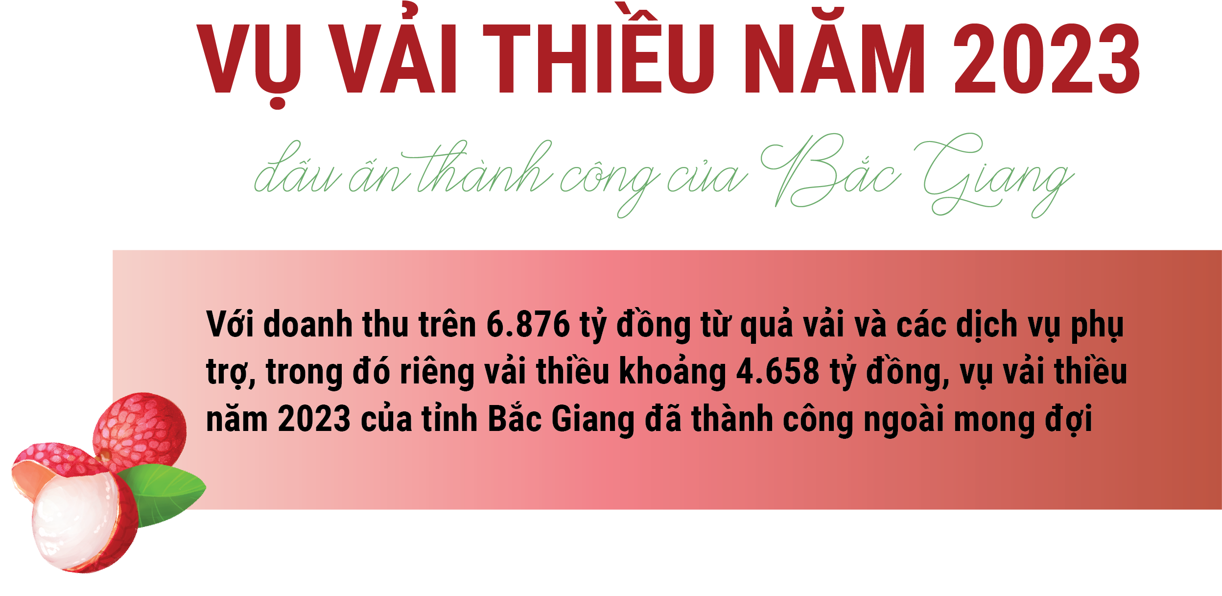 Longform | 2023 Lychee Crop: Bac Giang's Mark of Success
