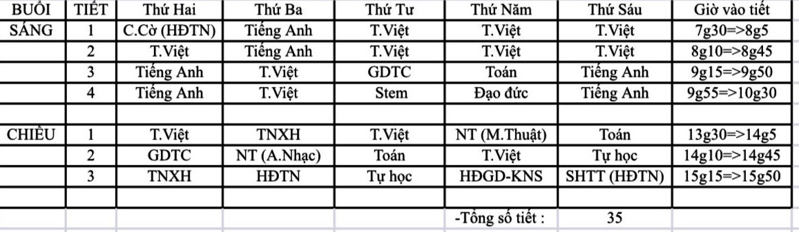 Chèn môn 'tự nguyện' vào chính khóa: Sở GD-ĐT TP.HCM nói gì? - Ảnh 2.