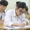 រូបថតគំនូរ។ (រូបថត៖ Minh Quyet/VNA)