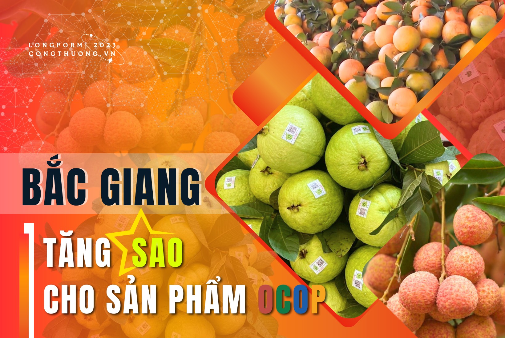 Longform | Bac Giang: Increasing “stars” for OCOP products