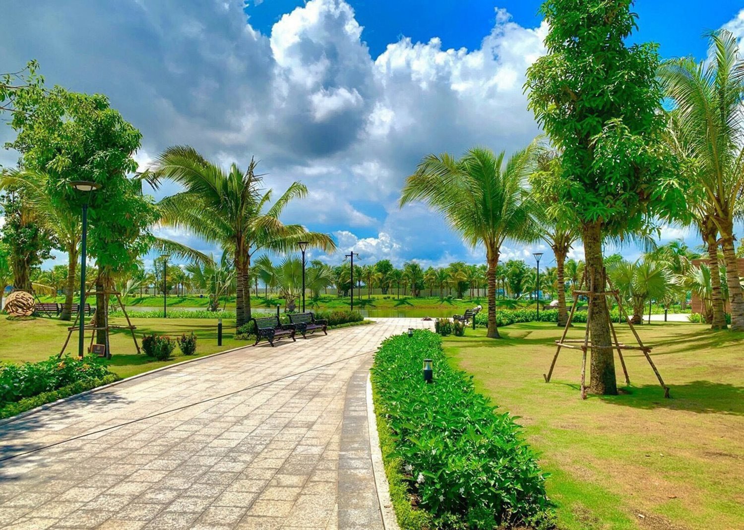 สวนสีเขียว.jpg