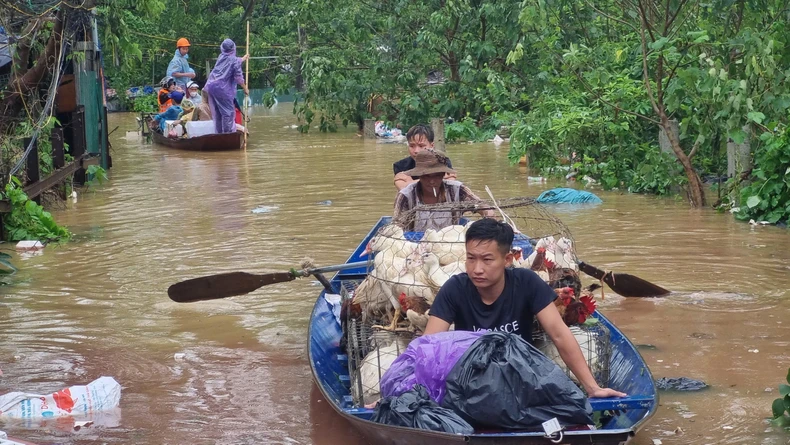 Die Überschwemmungen des Thao-Flusses überschreiten das historische Niveau, steigende Wasserstände des Roten Flusses wirken sich auf einige Gebiete in Hanoi aus, Foto 17