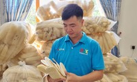 高給の銀行員の仕事を辞めたバクニン省の男性が、ヘチマを1000ドルの輸出品に変える