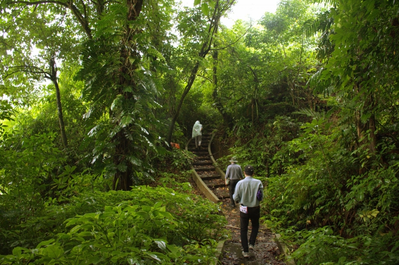 Road to Ngoc Linh ginseng conservation area in Tra Linh commune - Nam Tra My
