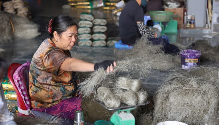 So villagers are busy producing vermicelli for Tet 2025