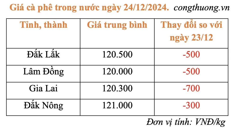 Giá cà phê hôm nay 24/12/2024: Giá cà phê