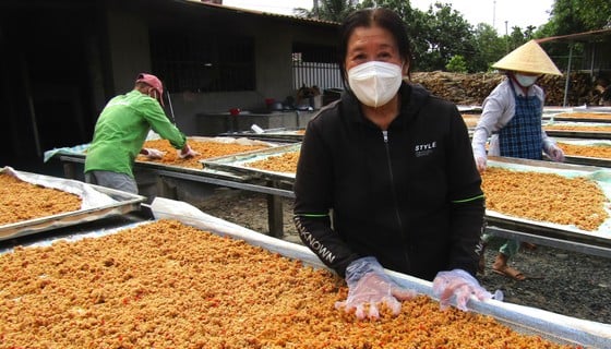 Ms. Le Thi My Van and workers mix shrimp salt in the drying yard. Photo: LE XUAN