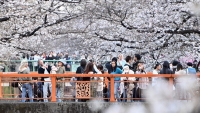 Japan: Land der aufgehenden Sonne