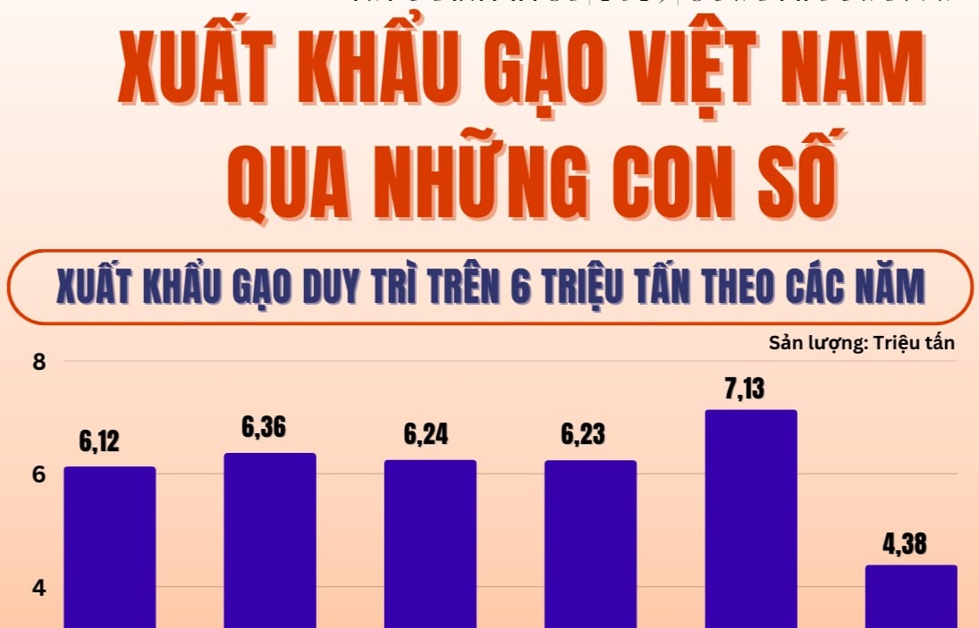 Infografías | Las exportaciones de arroz de Vietnam logran avances en muchos mercados