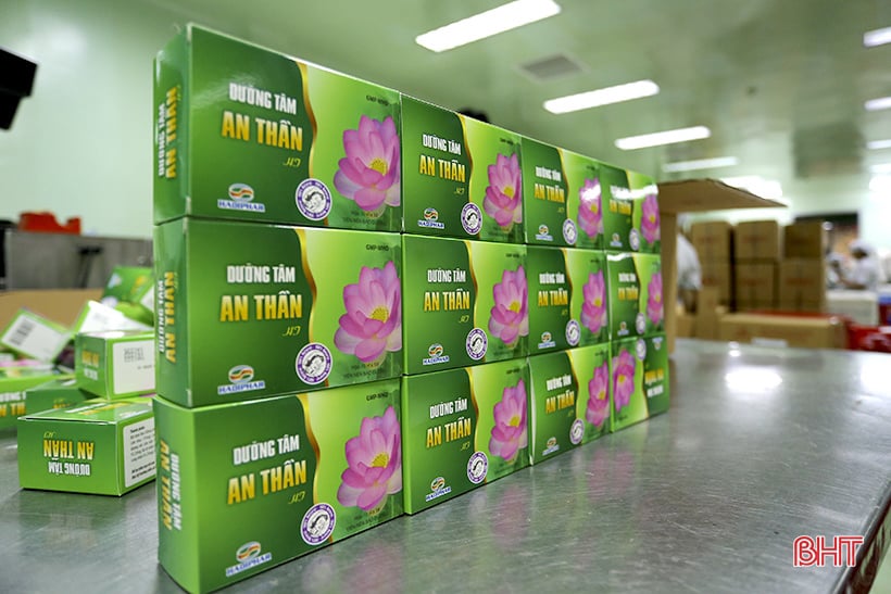 Admire the medicinal lotus pond of Ha Tinh Oriental Medicine Factory