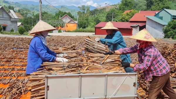 Cần xây dựng bản đồ số, thu hút nguồn lực đầu tư