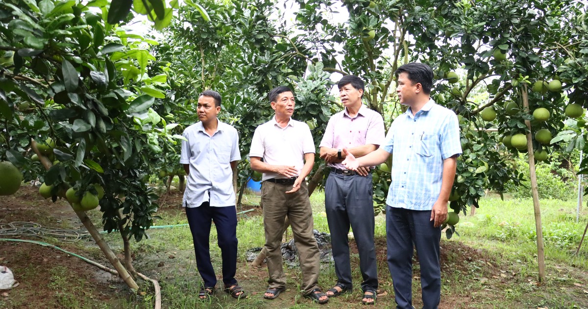 Extension agricole à Hanoi : une percée après 9 mois, créant une dynamique pour le développement agricole durable