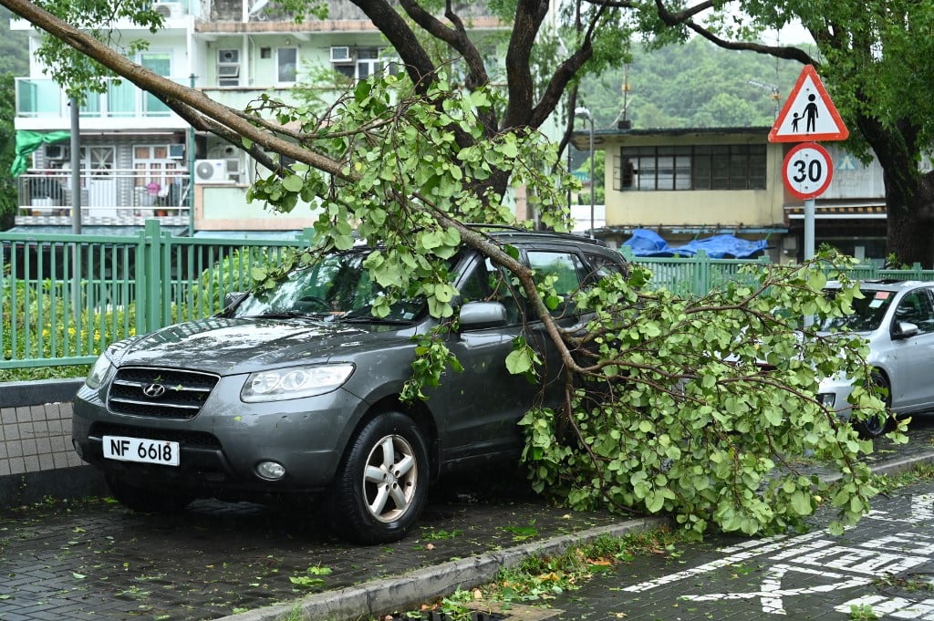 Bão Sao La khiến cây ngã hàng loạt tại Hồng Kông, 1 người chết tại Trung Quốc - Ảnh 2.