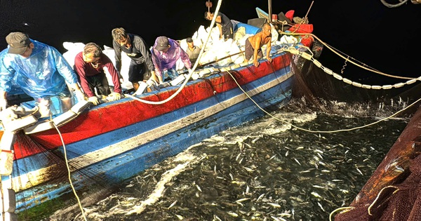 Después de haber capturado 10.000 toneladas de deliciosos mariscos, ¿por qué la gente de una comuna de Quang Binh todavía tiene esta preocupación?