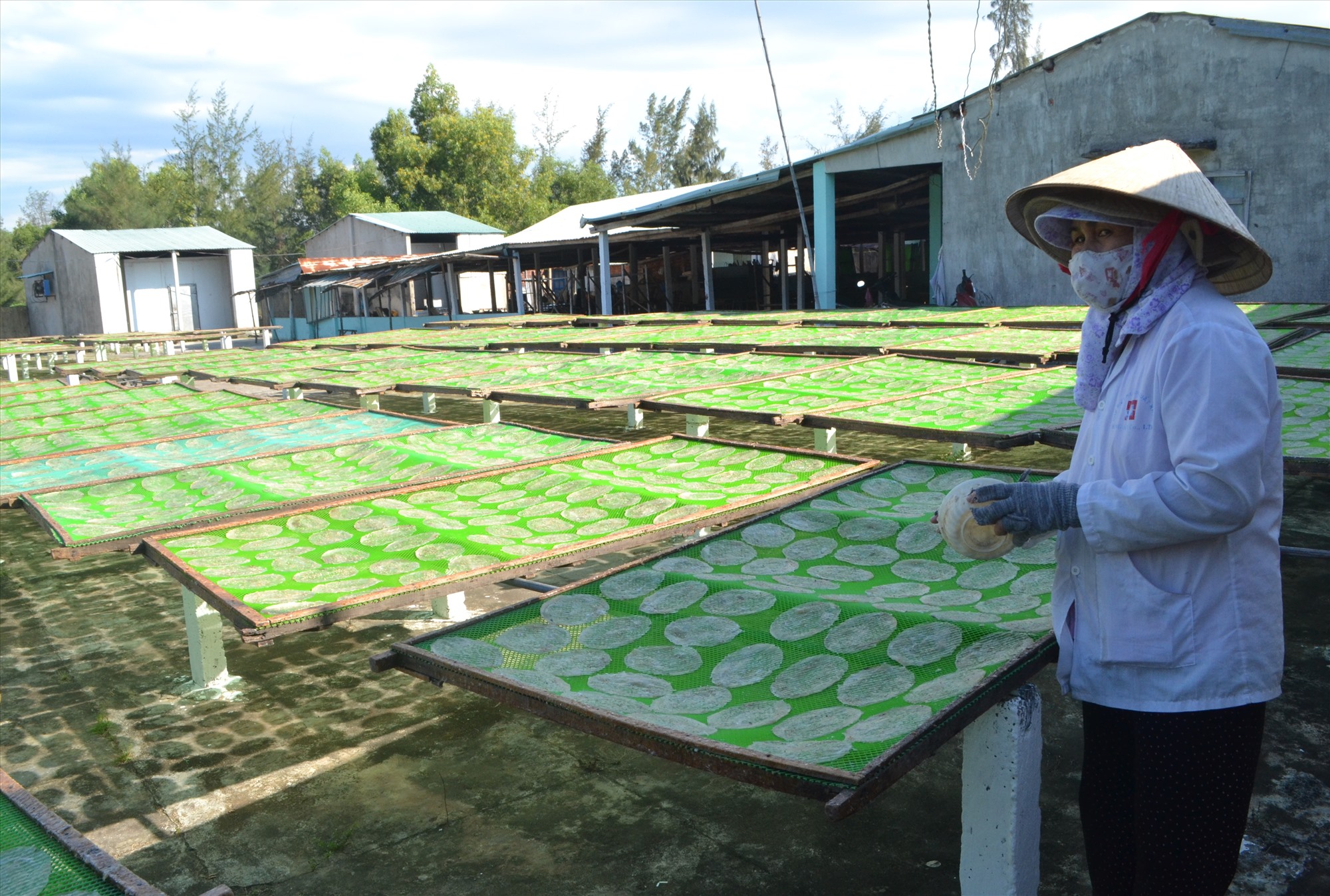 Seafood processing in Binh Minh commune. Photo: NGUYEN QUANG