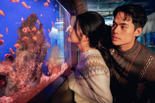 Gen Zと一緒にニャチャン水族館を探検しよう: 『ファインディング・ニモ』のように魔法のような体験! - 3