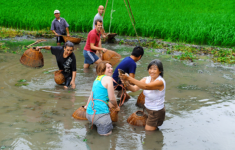 Ninh Binh awakens heritage for sustainable tourism development