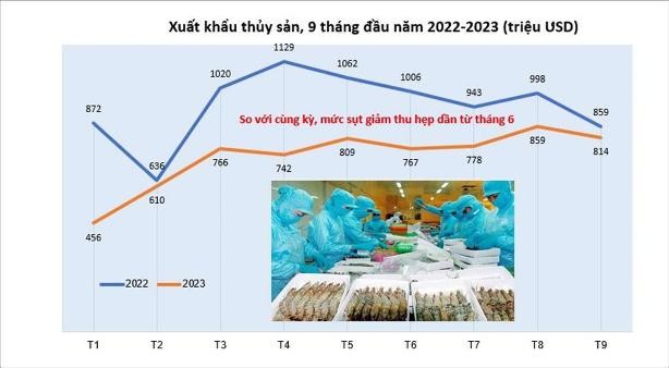 Bức tranh xuất khẩu thủy sản 9 tháng đầu năm 2023 (nguồn: VASEP) ảnh 1