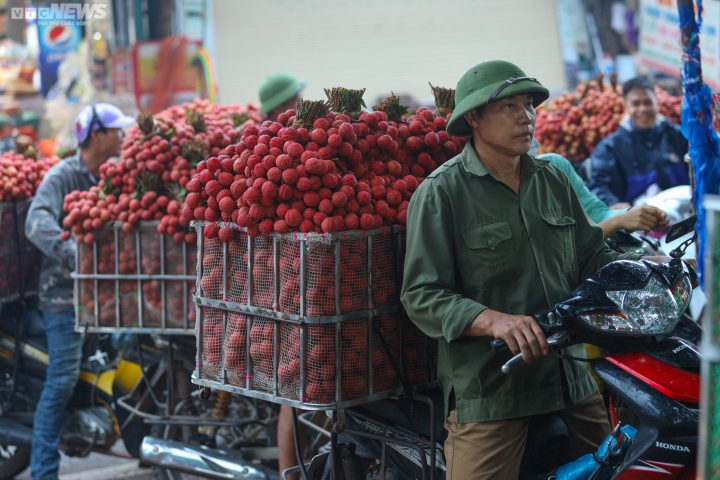 Bac Giang: Los agricultores se apresuran a llevar lichis para pesarlos y venderlos, las calles se tiñen de rojo - 5