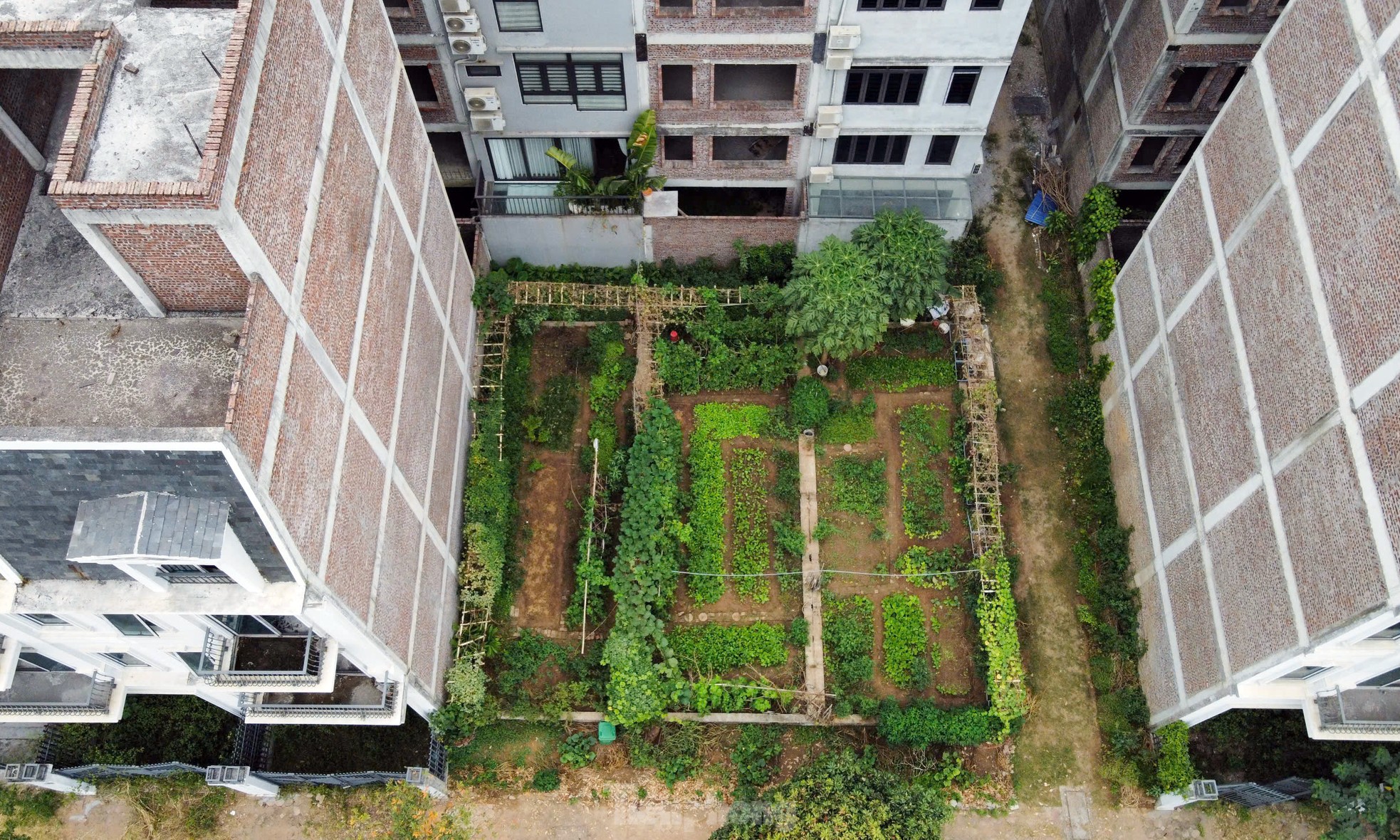 住宅に転用された自動車工場の土地の内部は、政府の検査官によって違反行為として「名指し」された。写真16