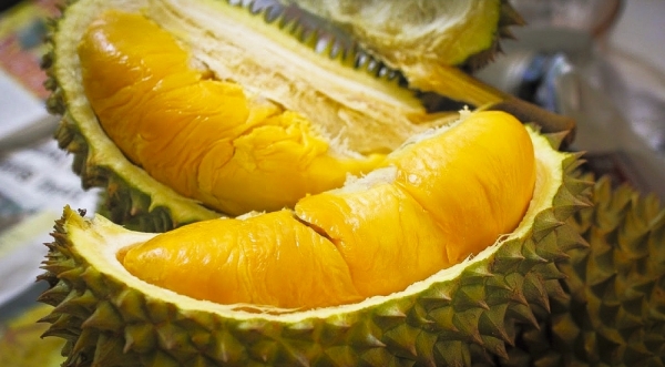 Im Jahr 2024 werden die Durian-Exporte 2 - 2,5 Milliarden USD erreichen