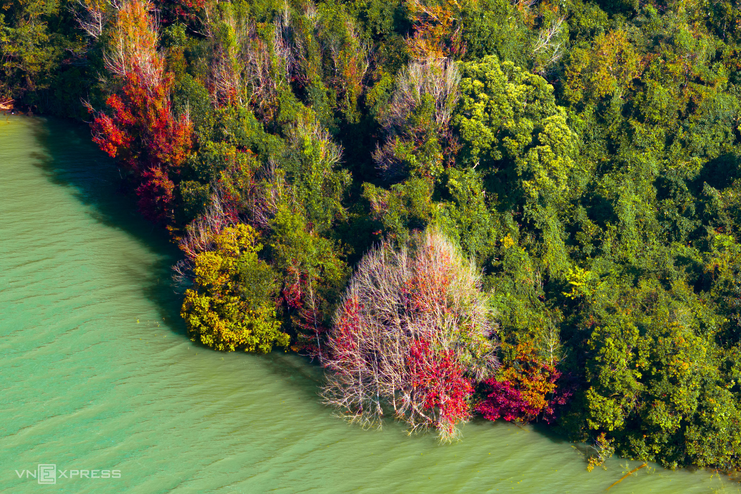 The season of changing leaves in the forest