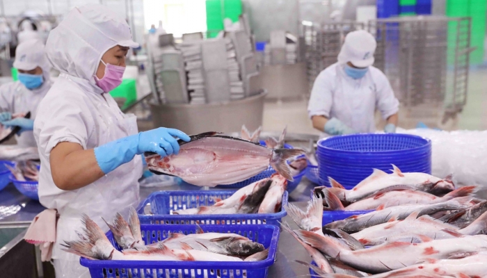 Los ingresos de junio de Vinh Hoan (VHC) aumentaron un 22%, el producto principal, el pangasius, no creció