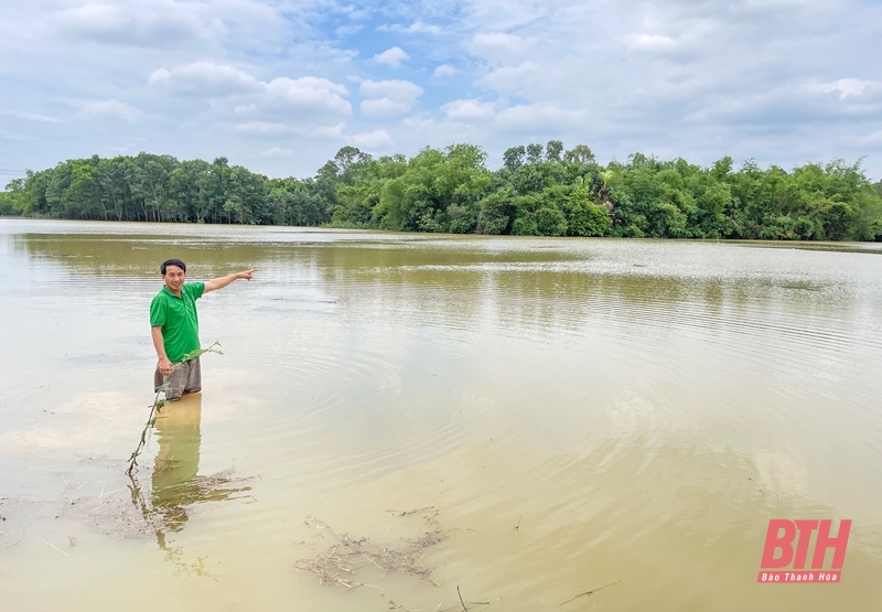 Des dizaines d'hectares de rizières de printemps risquent d'être perdus à cause de profondes inondations