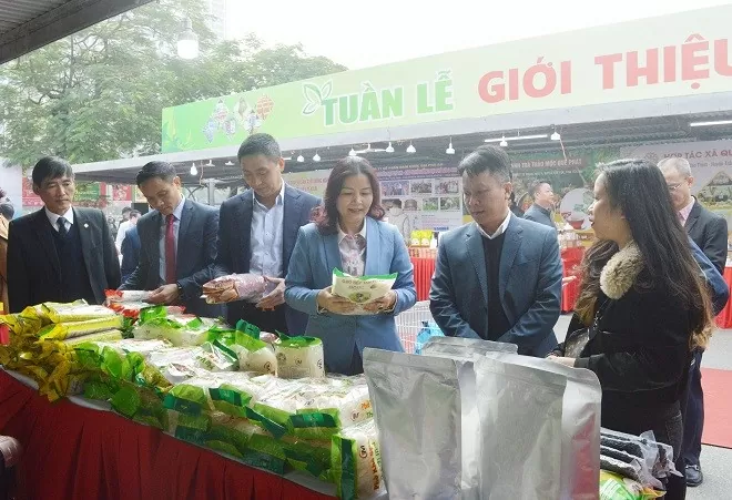 Próximamente se realizará la feria para promover productos agrícolas, OCOP Yen Bai en Hanoi.