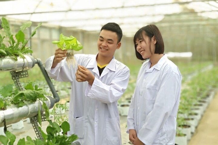 Estudiantes de agricultura en práctica.