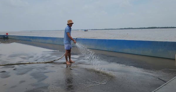 Chi phí khai thác cát bằng công nghệ hút cao hơn dùng xáng cạp