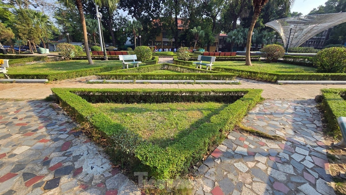 Flower gardens and parks in Ha Dong district 'wear new clothes' after investment and renovation photo 5