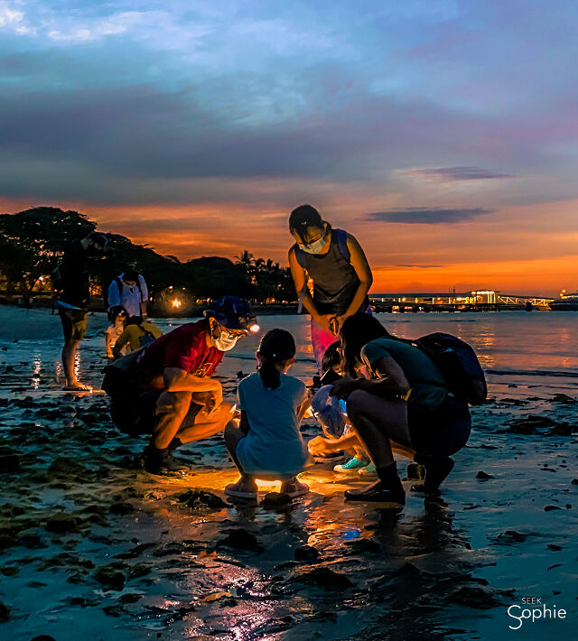 'Chơi đêm' tại Singapore có gì mà nhiều người Việt mê thế? - Ảnh 2.