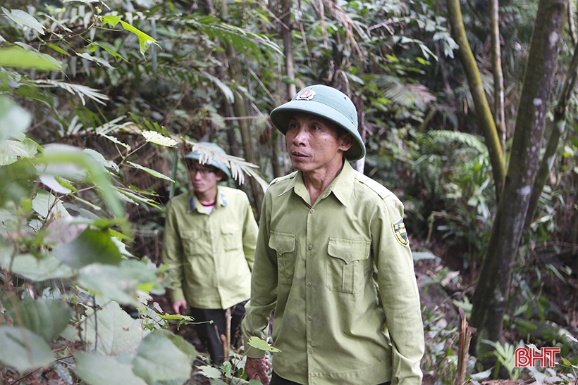 For Hong Linh forest to stay green forever...