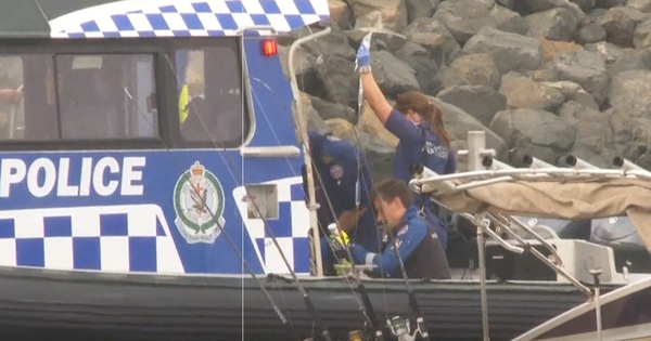 Une baleine attaque un bateau au large de l'Australie, provoquant un accident « tragique »