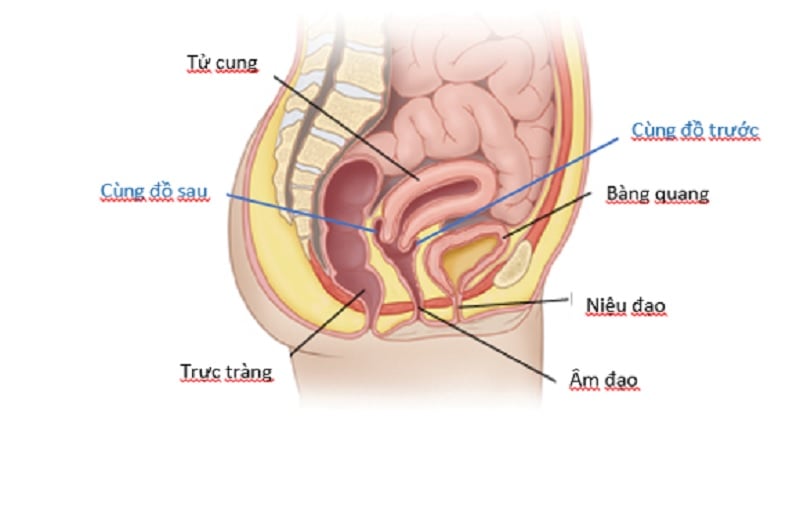 Rách cùng đồ sau quan hệ, người phụ nữ nguy kịch phải thở máy - Ảnh 1.