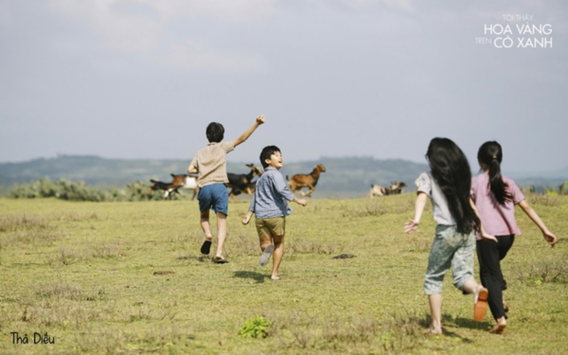 Sehen Sie sich das Filmset von „Ich sehe gelbe Blumen auf grünem Gras“ in Phu Yen an, bevor Sie einen neuen Mantel anziehen – 4