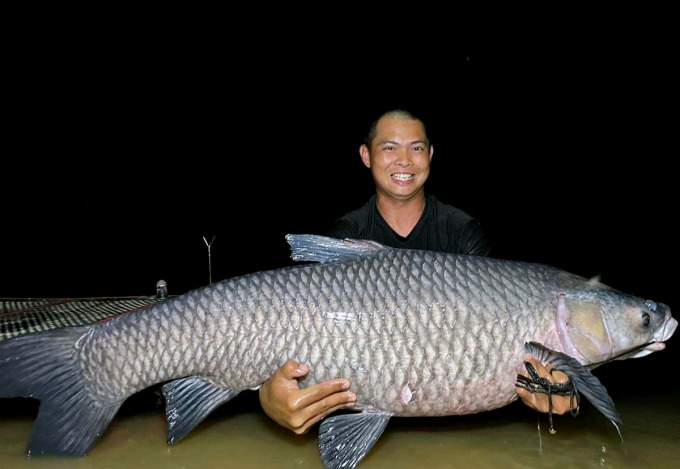 La carpe noire de 40 kg que M. Hoa a attrapée au barrage de Khe La. Photo : Phu Huu