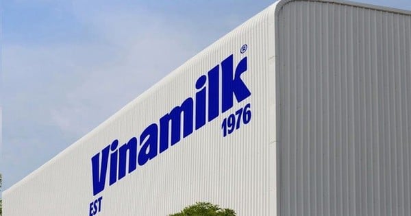 Why haven't Vinamilk's major shareholders been able to buy shares?