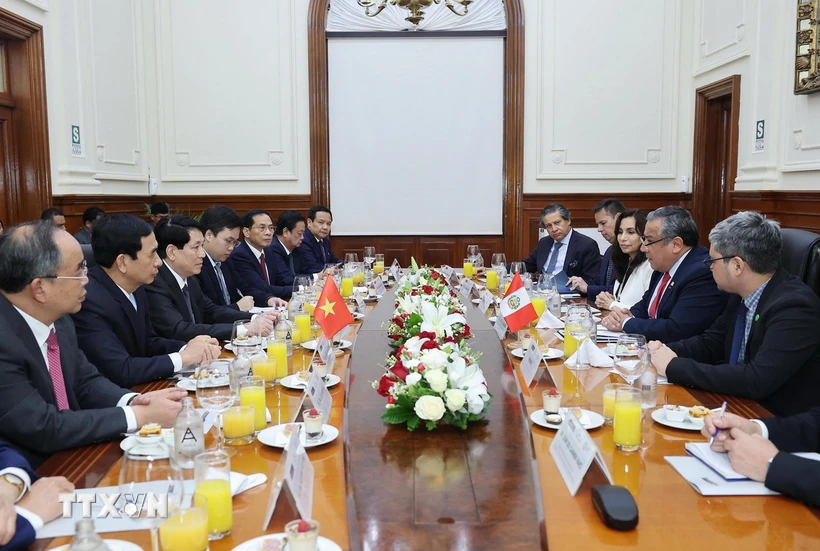 El Presidente Luong Cuong se reunió con el Presidente del Consejo de Ministros del Perú, Gustavo Adrián Adrianzén. (Foto: Lam Khanh/VNA)