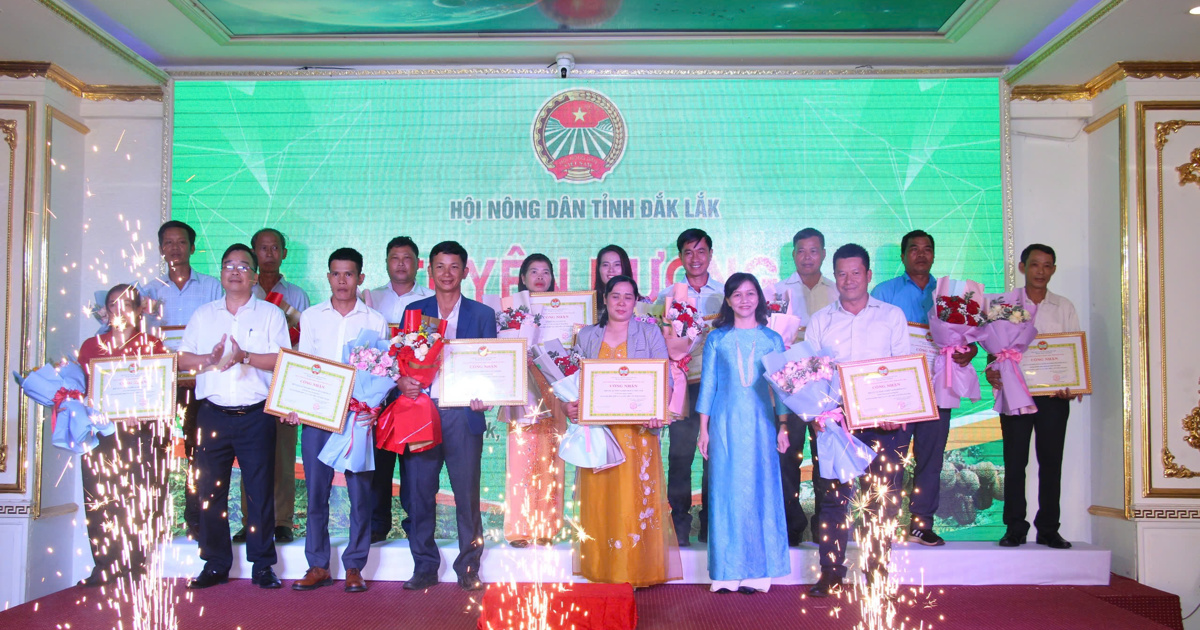 Dak Lak honors outstanding farmers in 2024