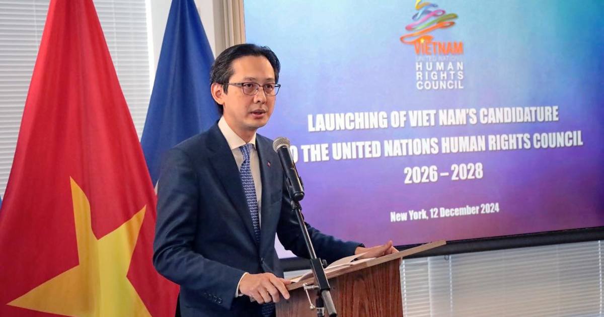 Vietnam commits to promoting the implementation of the common goals of the UNHRC