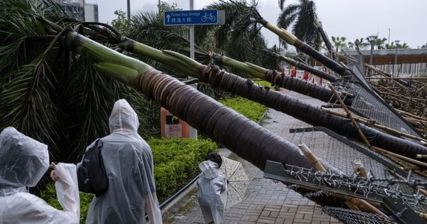 La tormenta Sao La golpea China y provoca la caída de árboles y una persona muerta